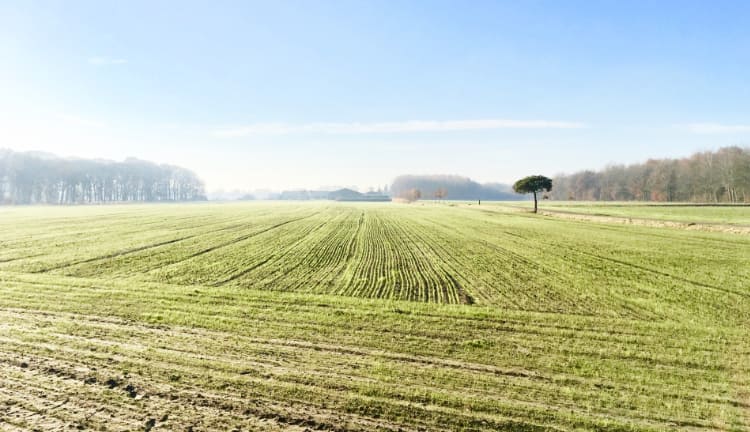 Tips voor het ondersteunen van de aarde energie in ons.