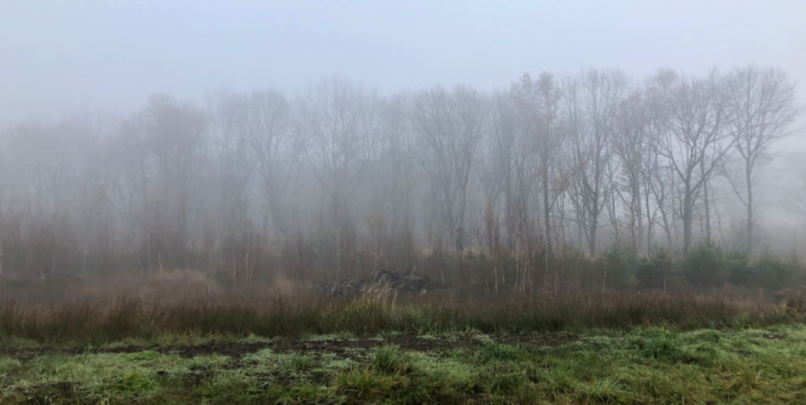 De herfst en het metaalelement