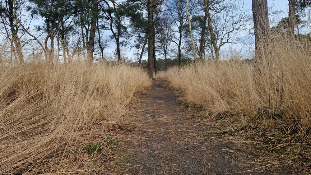 1 op 1 wandelsessies in de natuur