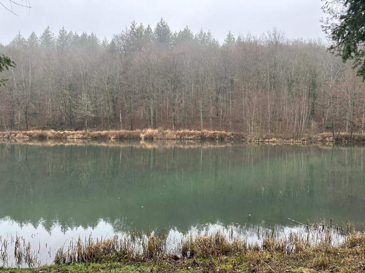 Wandelen met wat je voelt