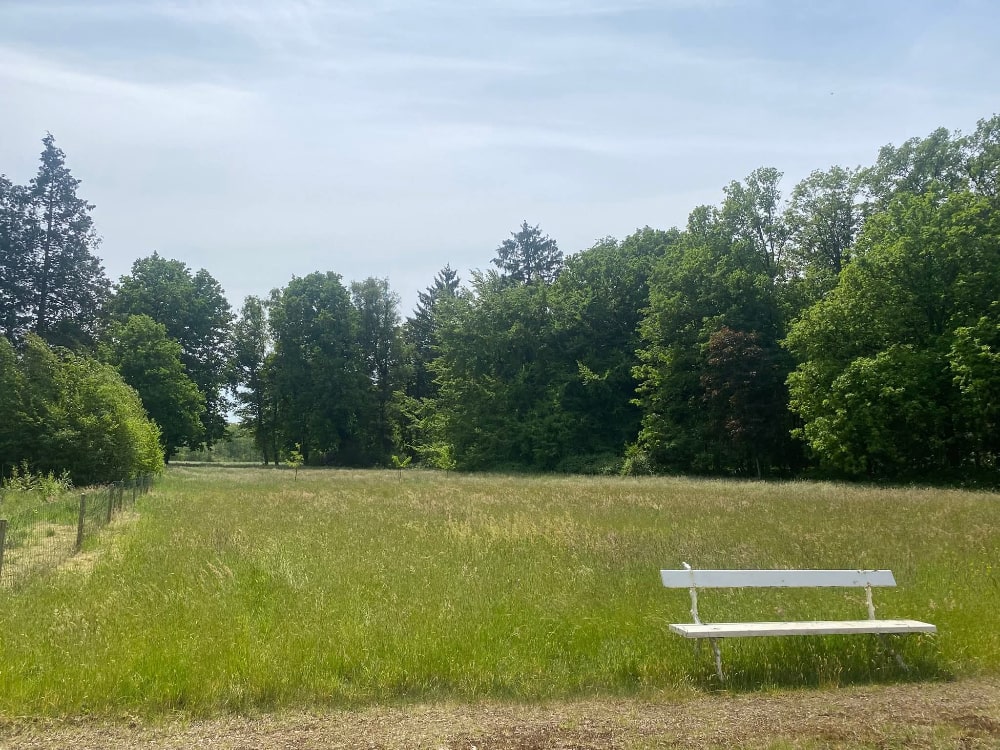 Inner Senses Stiltedagen