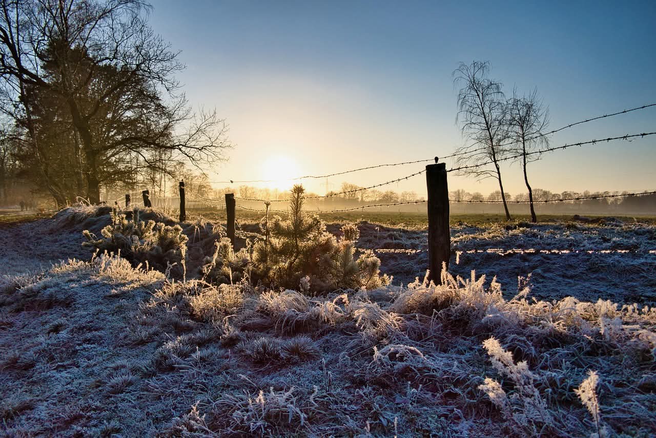Midwinter Cirkel